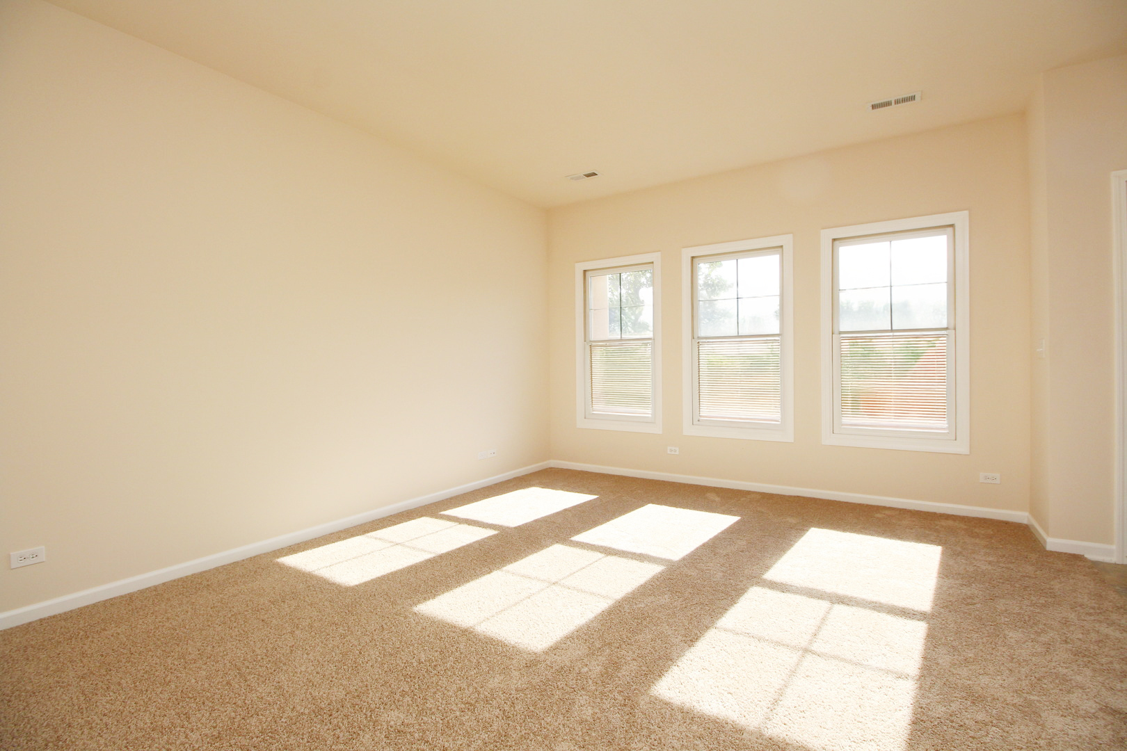 Undisclosed Address Elgin, IL 60120 - Photo 4 of 22 a view of an empty room and window