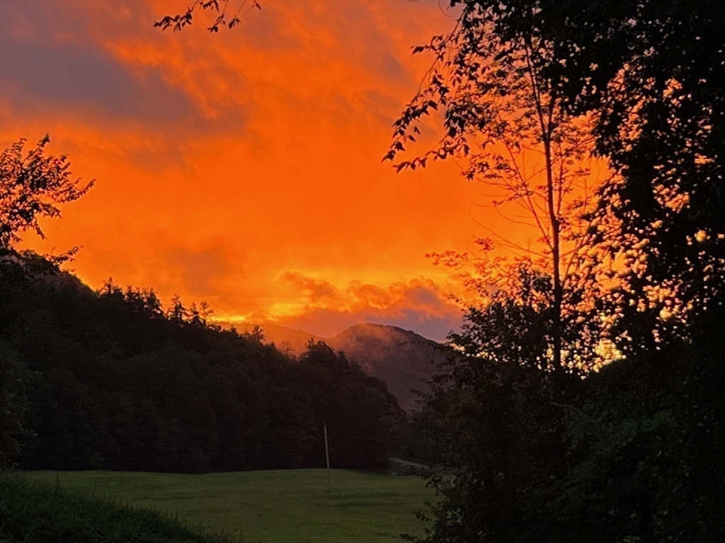 14 East Hawley Road Charlemont, MA 01339 - Photo 38 of 42