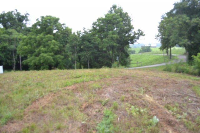 0 Pea Ridge Fire Tower Road Celina, TN 38551 - Photo 44 of 59