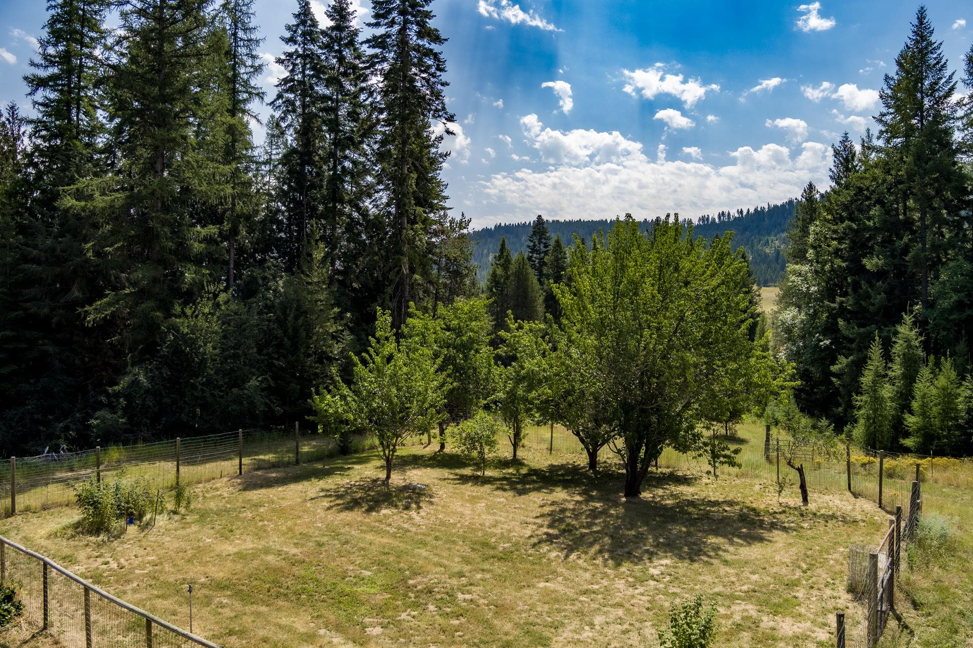 881 Orin-Rice Road Colville, WA 99114 - Photo 32 of 40