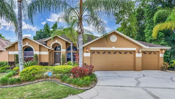 $3,895 | 29135 Rivergate Run, Wesley Chapel, FL 33543