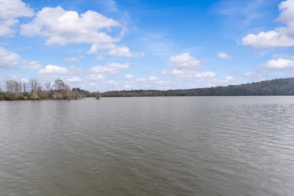 25678 Memory Road Andalusia, AL 36421 - Photo 38 of 43