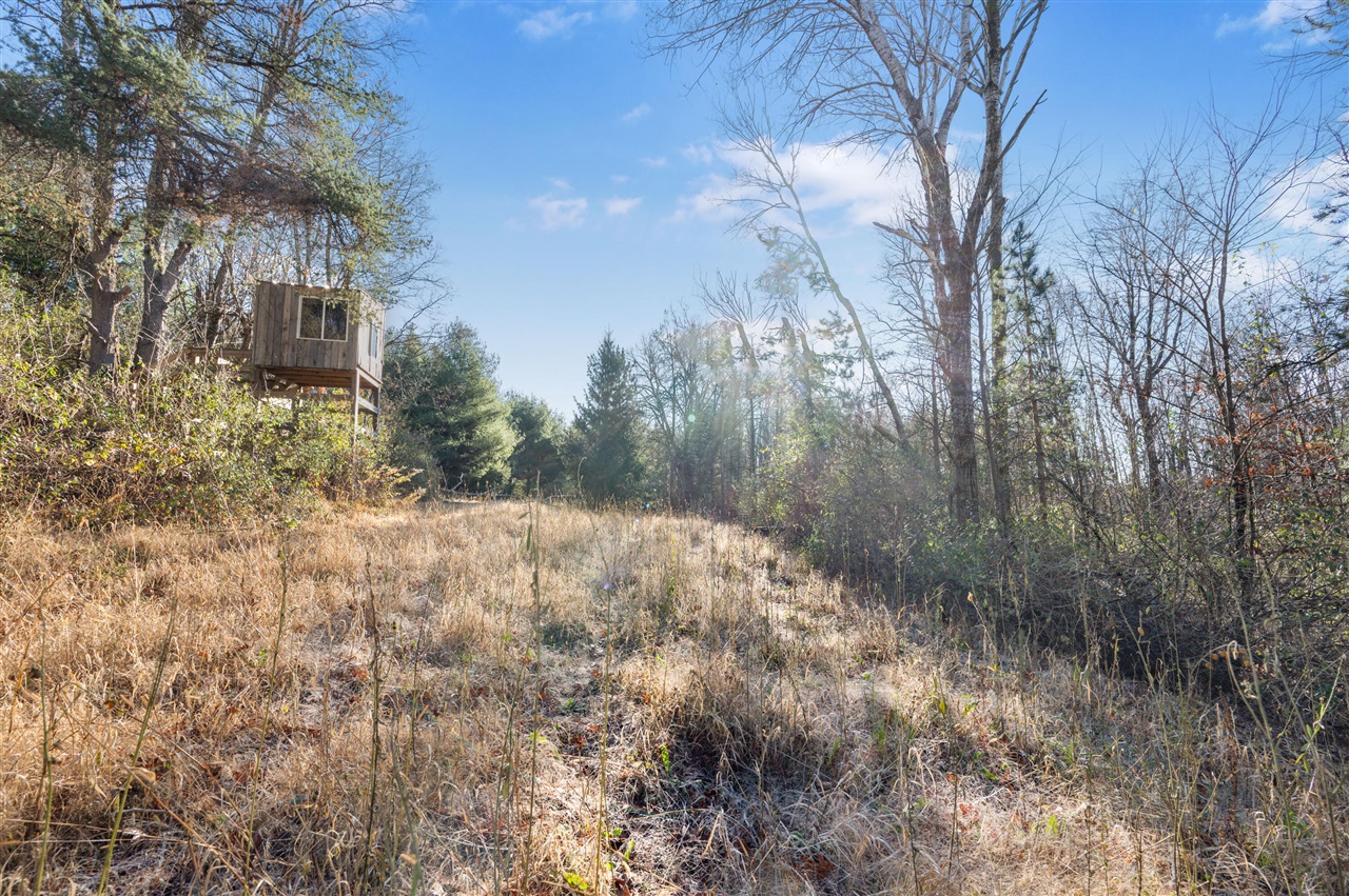 1597 South Saddler Road Luther, MI 49656 - Photo 34 of 38
