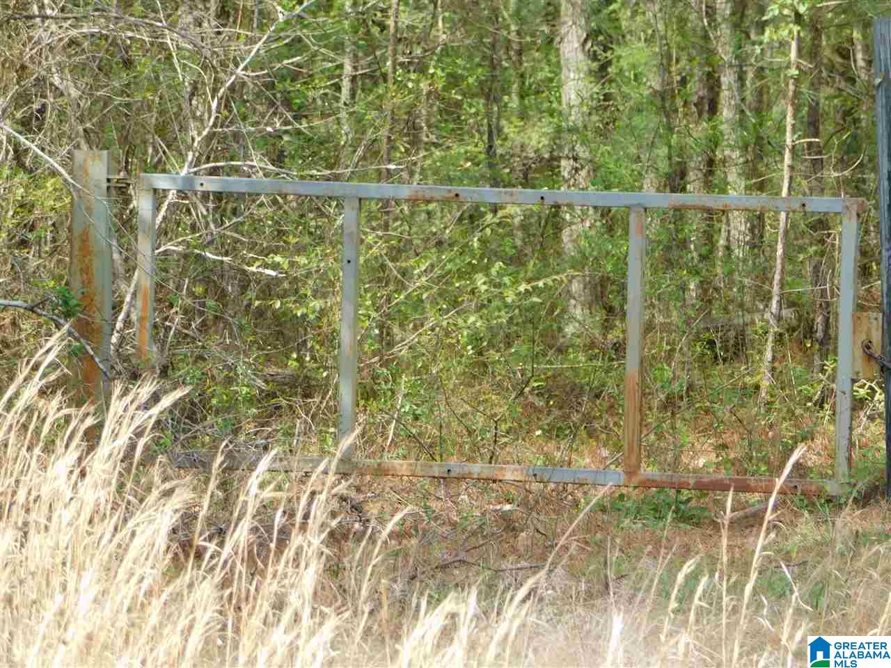 Deaver Walker Road, Unit RESIDENTIAL Locust Fork, AL 35097 - Photo 3 of 7