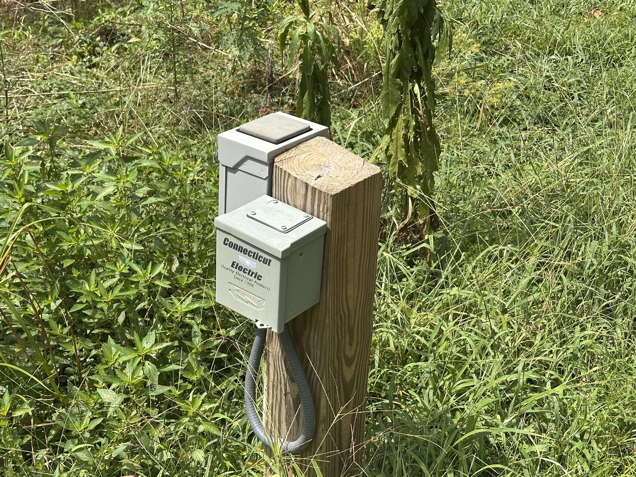 84 Perryville Estate Lane Parsons, TN 38363 - Photo 3 of 16