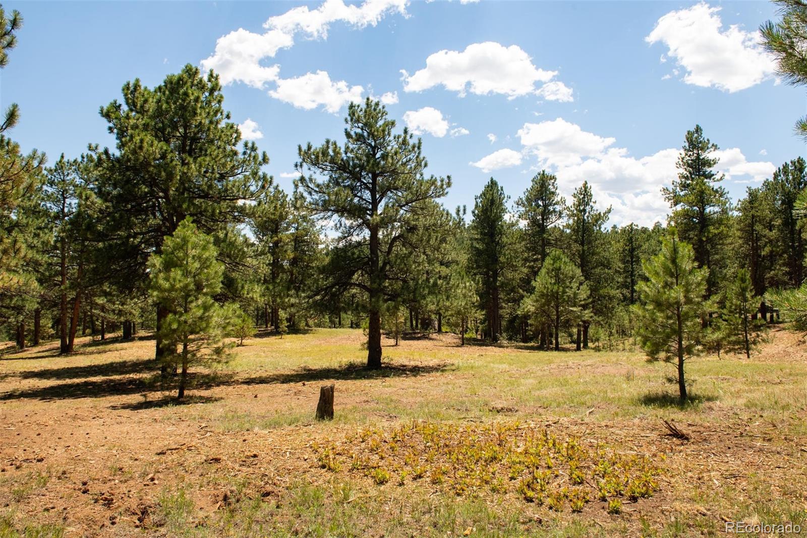 2454 Legacy Ranch Road Evergreen, CO 80439 - Photo 6 of 9 a view of snow on the side of a road