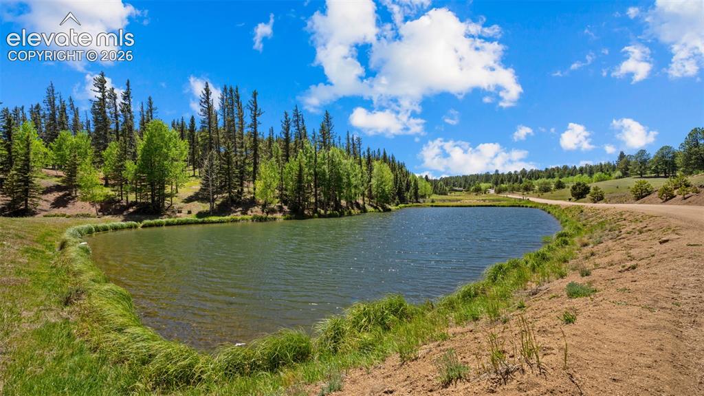 506 Ridge Road Divide, CO 80814 - Photo 42 of 50