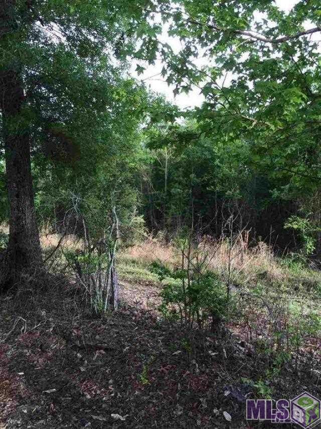 24168 Miller Road Livingston, LA 70754 - Photo 1 of 4 Gallery Image 1
