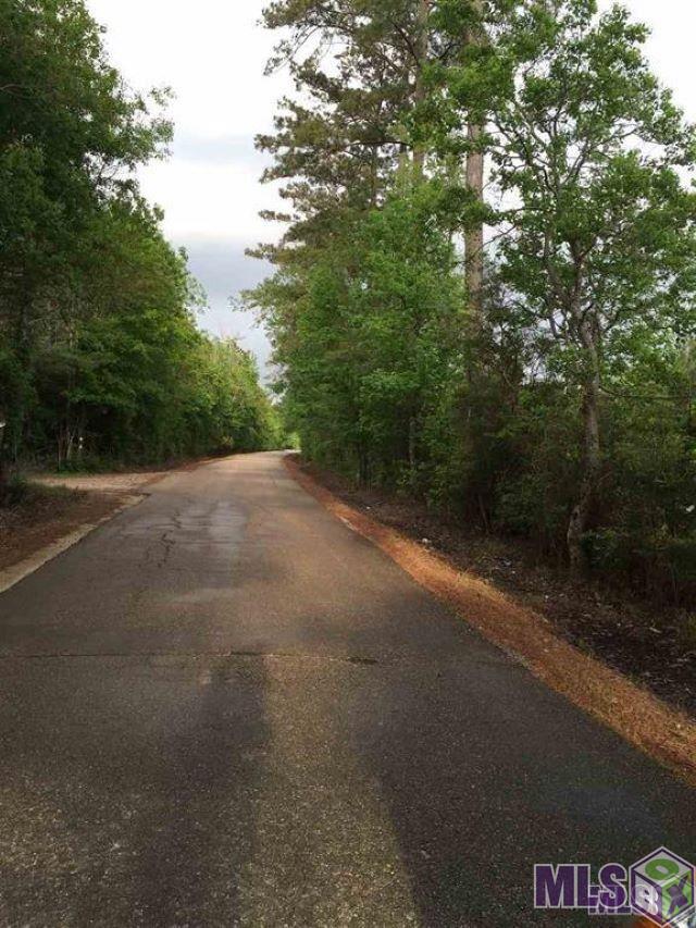 24168 Miller Road Livingston, LA 70754 - Photo 2 of 4 Gallery Image 2
