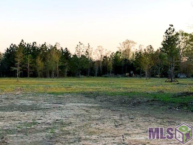 24168 Miller Road Livingston, LA 70754 - Photo 3 of 4 Gallery Image 3
