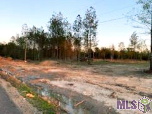 24168 Miller Road Livingston, LA 70754 - Photo 4 of 4 Gallery Image 4