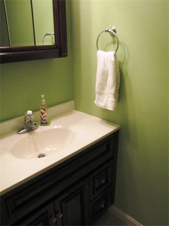 9 Pearlbush Path Worcester, MA 01607 - Photo 16 of 28 a close up of a sink and a microwave