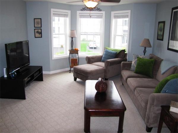 9 Pearlbush Path Worcester, MA 01607 - Photo 17 of 28 a living room with furniture and a flat screen tv
