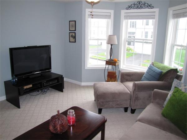9 Pearlbush Path Worcester, MA 01607 - Photo 19 of 28 a living room with furniture a flat screen tv and a window