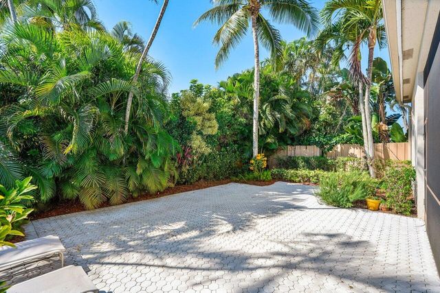 a view of a garden with a plants