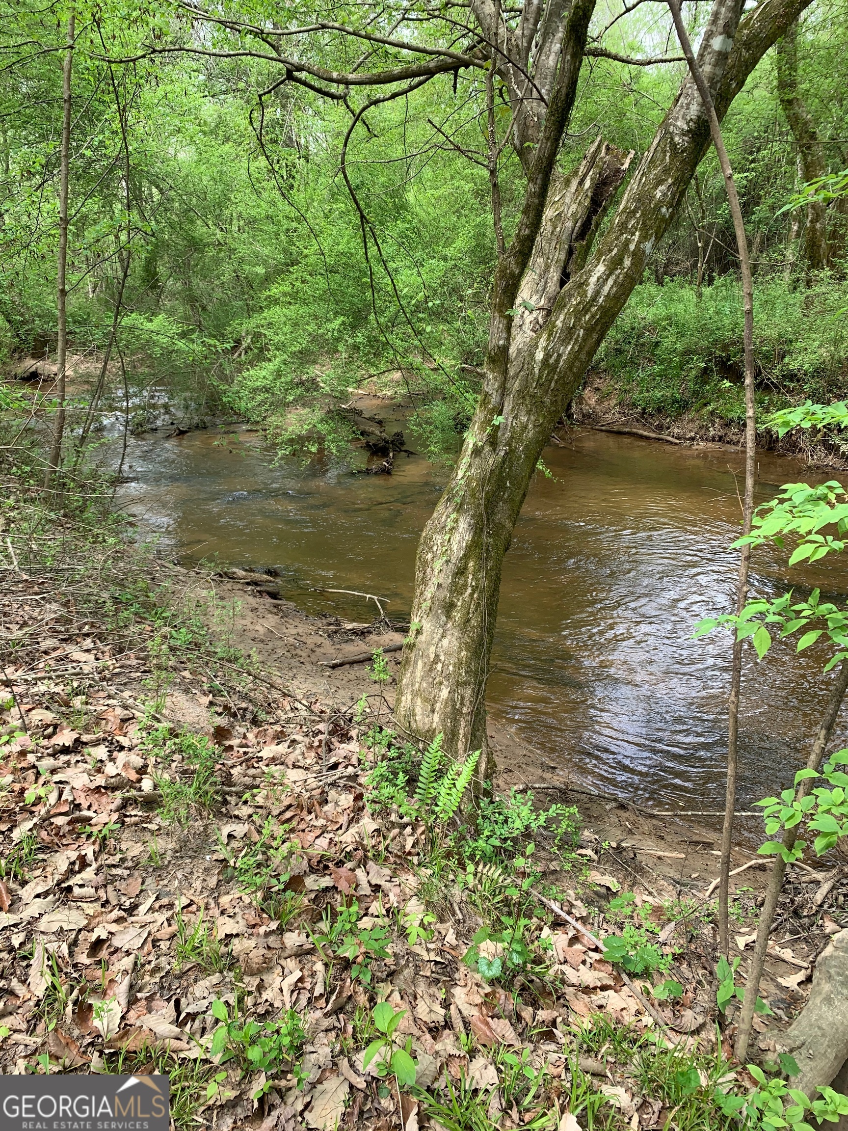 380 Wilson Road Whitesburg, GA 30185 - Photo 13 of 59