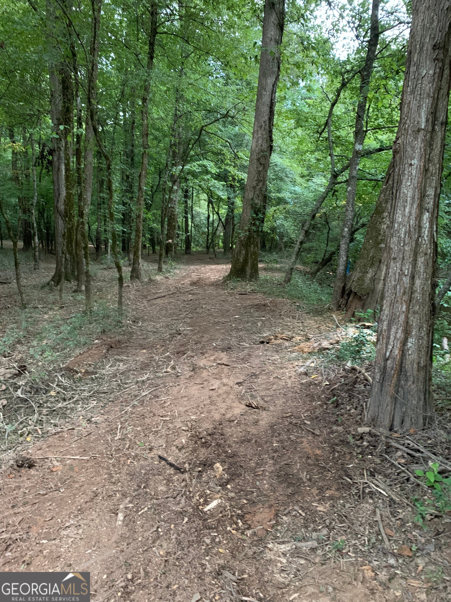 380 Wilson Road Whitesburg, GA 30185 - Photo 18 of 59