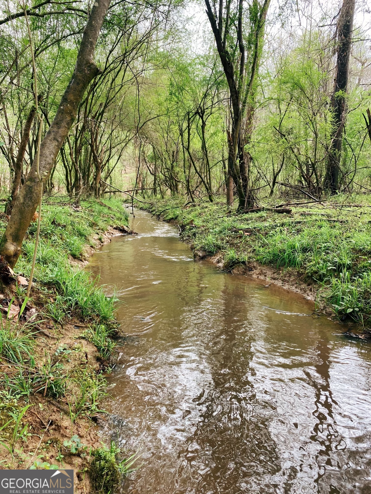 380 Wilson Road Whitesburg, GA 30185 - Photo 22 of 59