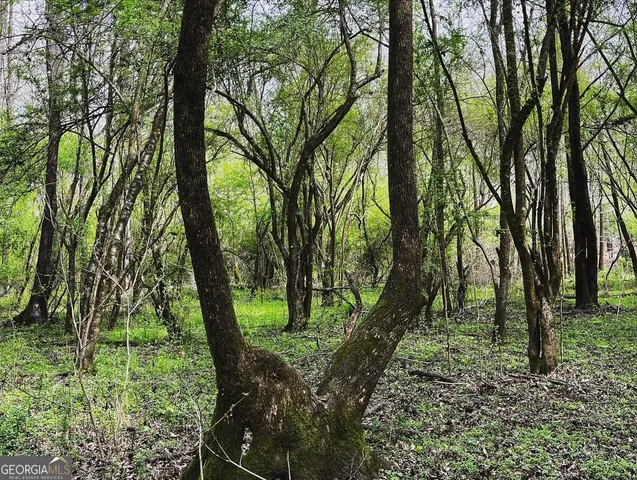 $389,000 | 380 Wilson Road, Whitesburg, GA 30185