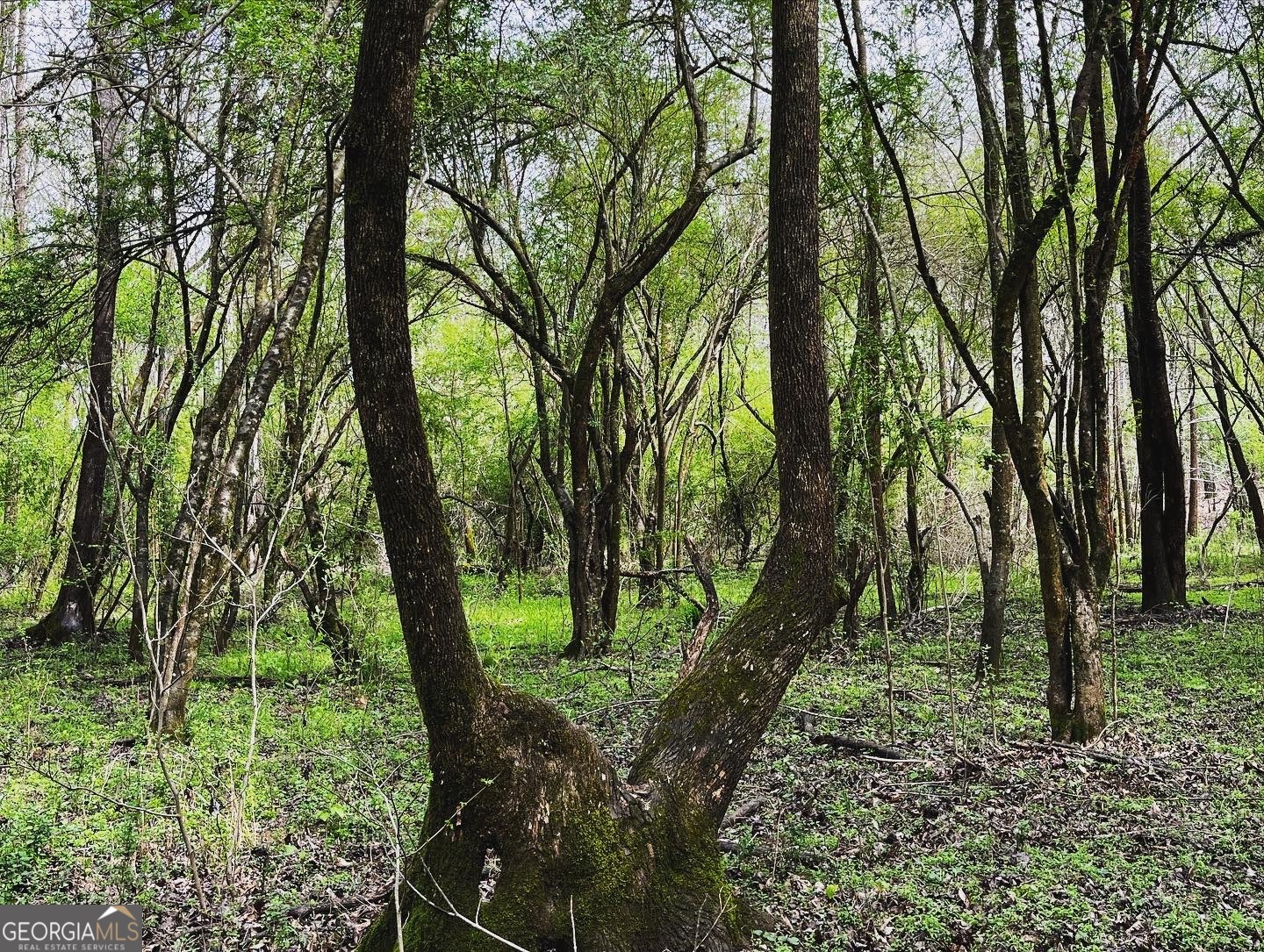 380 Wilson Road Whitesburg, GA 30185 - Photo 23 of 59