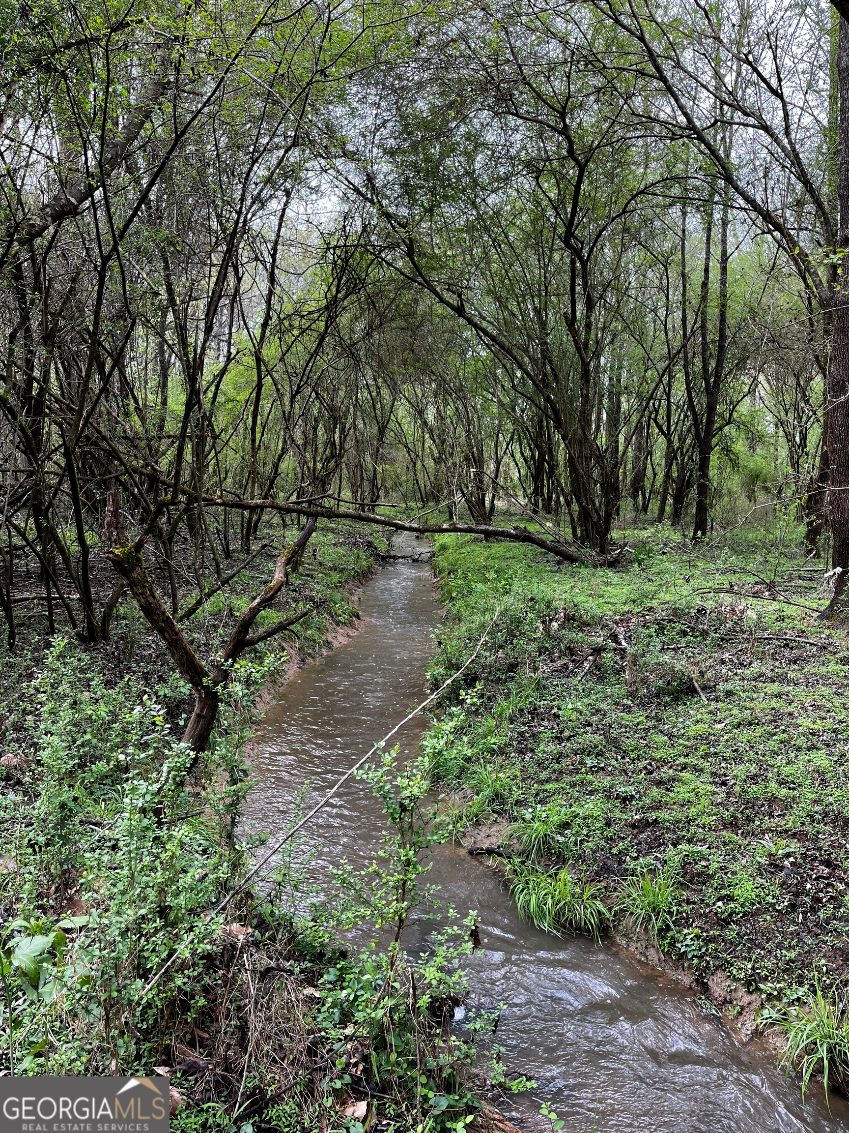 380 Wilson Road Whitesburg, GA 30185 - Photo 24 of 59