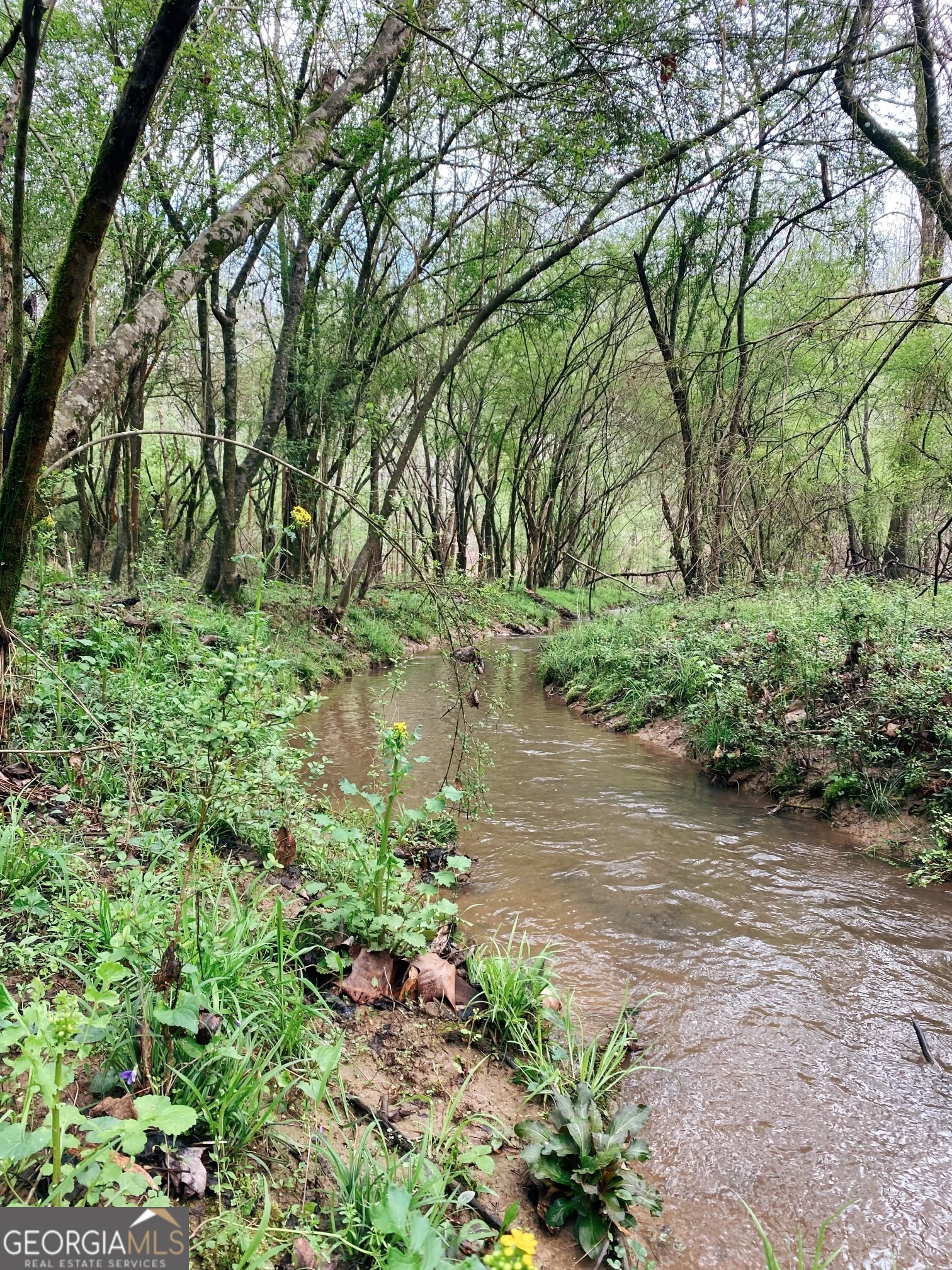 380 Wilson Road Whitesburg, GA 30185 - Photo 25 of 59