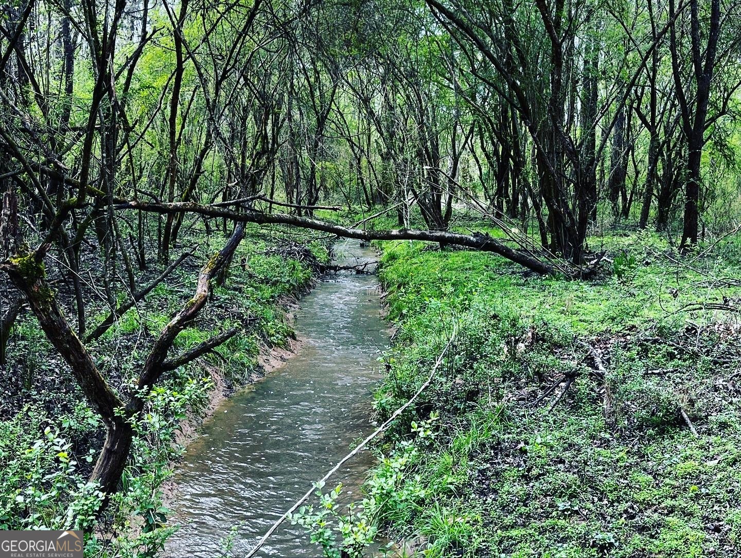 380 Wilson Road Whitesburg, GA 30185 - Photo 27 of 59