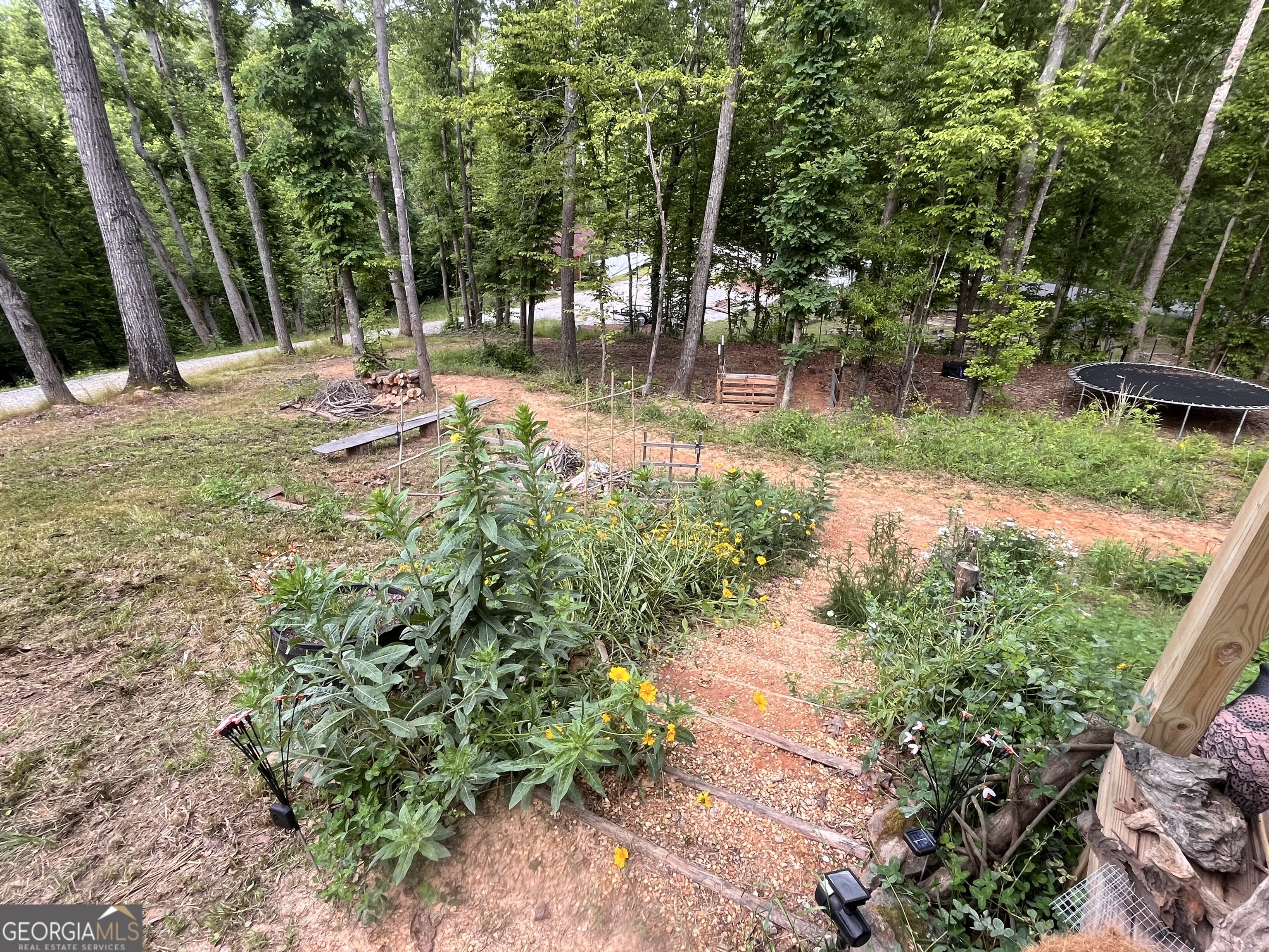 380 Wilson Road Whitesburg, GA 30185 - Photo 28 of 59