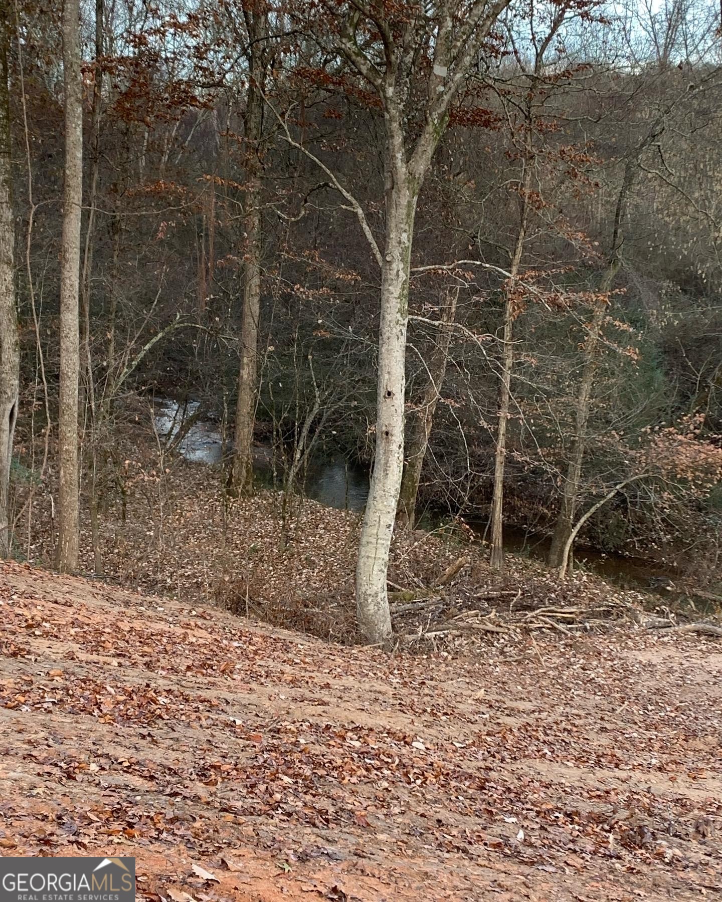 380 Wilson Road Whitesburg, GA 30185 - Photo 10 of 59