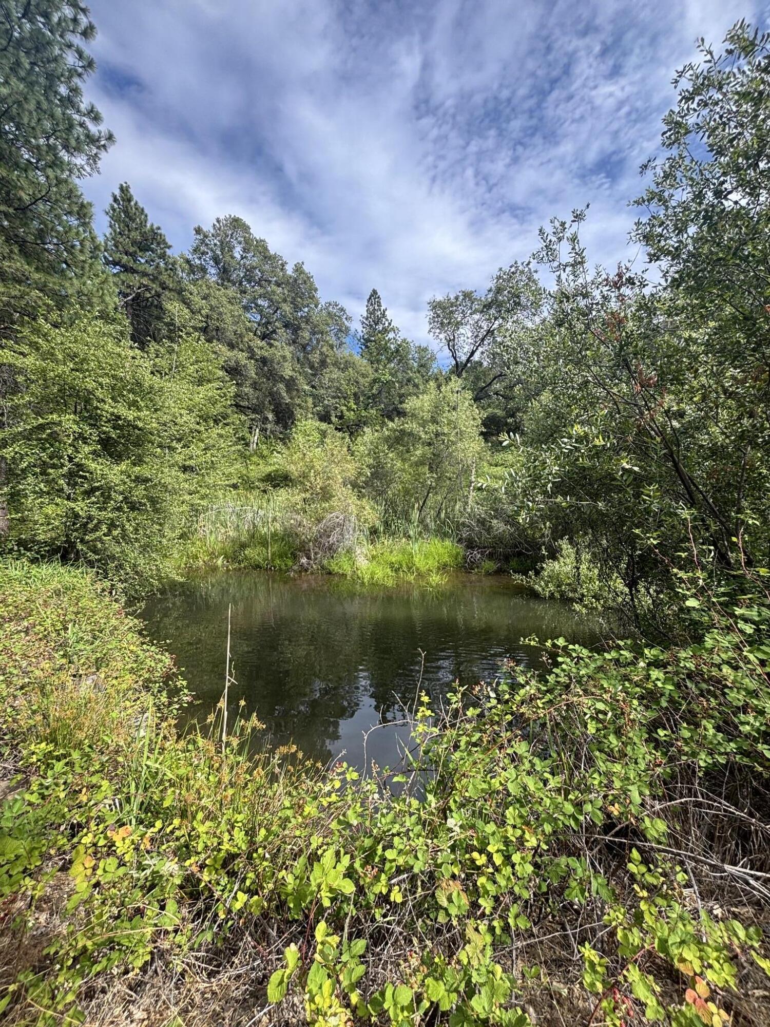 29427 Inwood Road Shingletown, CA 96088 - Photo 31 of 45 Pond