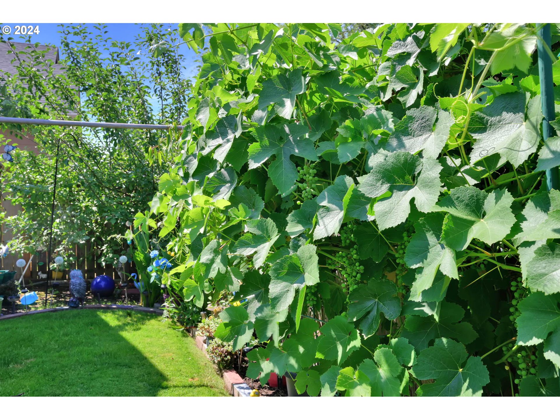 945 Pennington Court Eugene, OR 97404 - Photo 39 of 40 a view of a garden