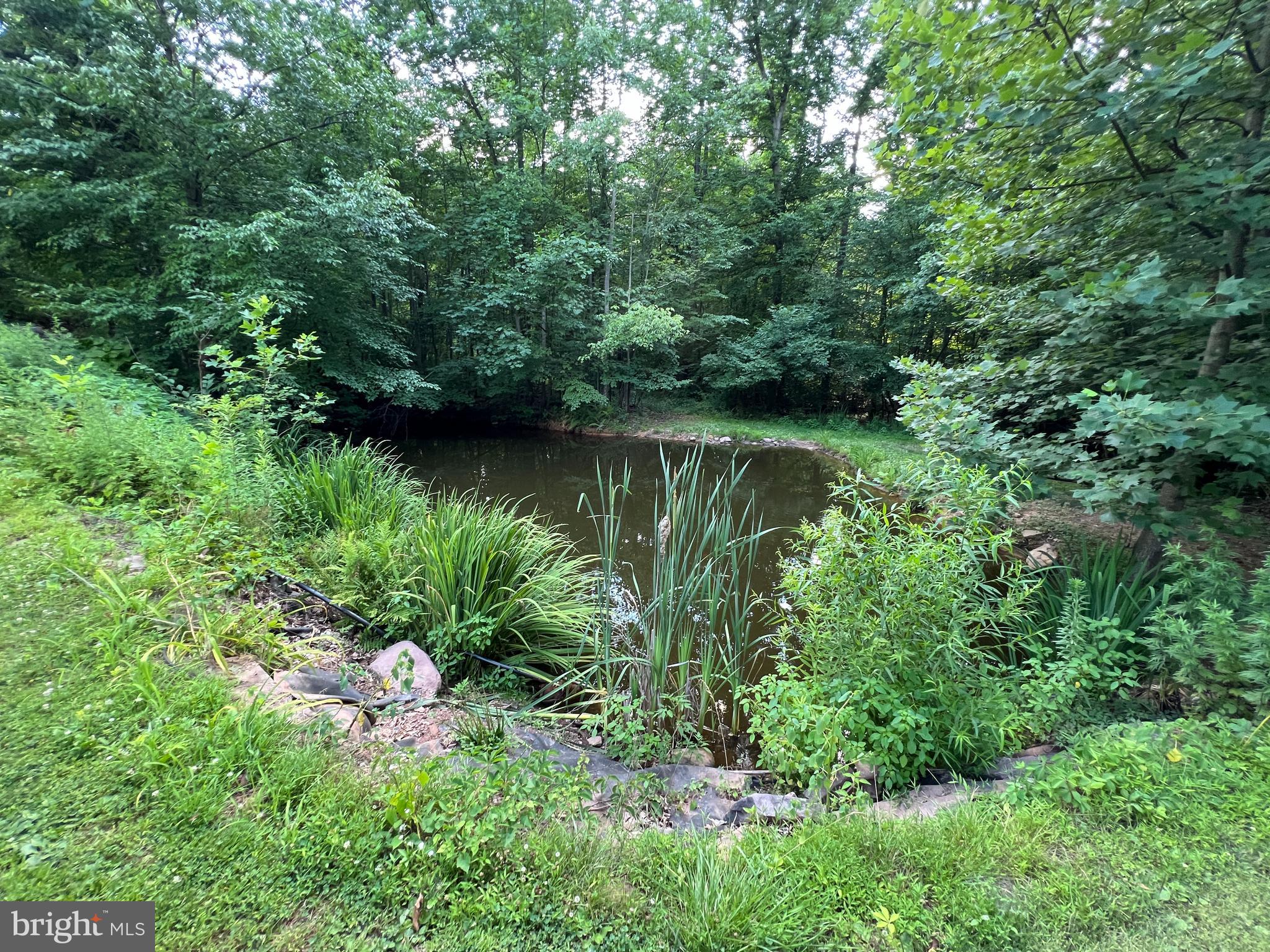 6300 Mountain Road Dover, PA 17315 - Photo 57 of 69 Gallery Image 57