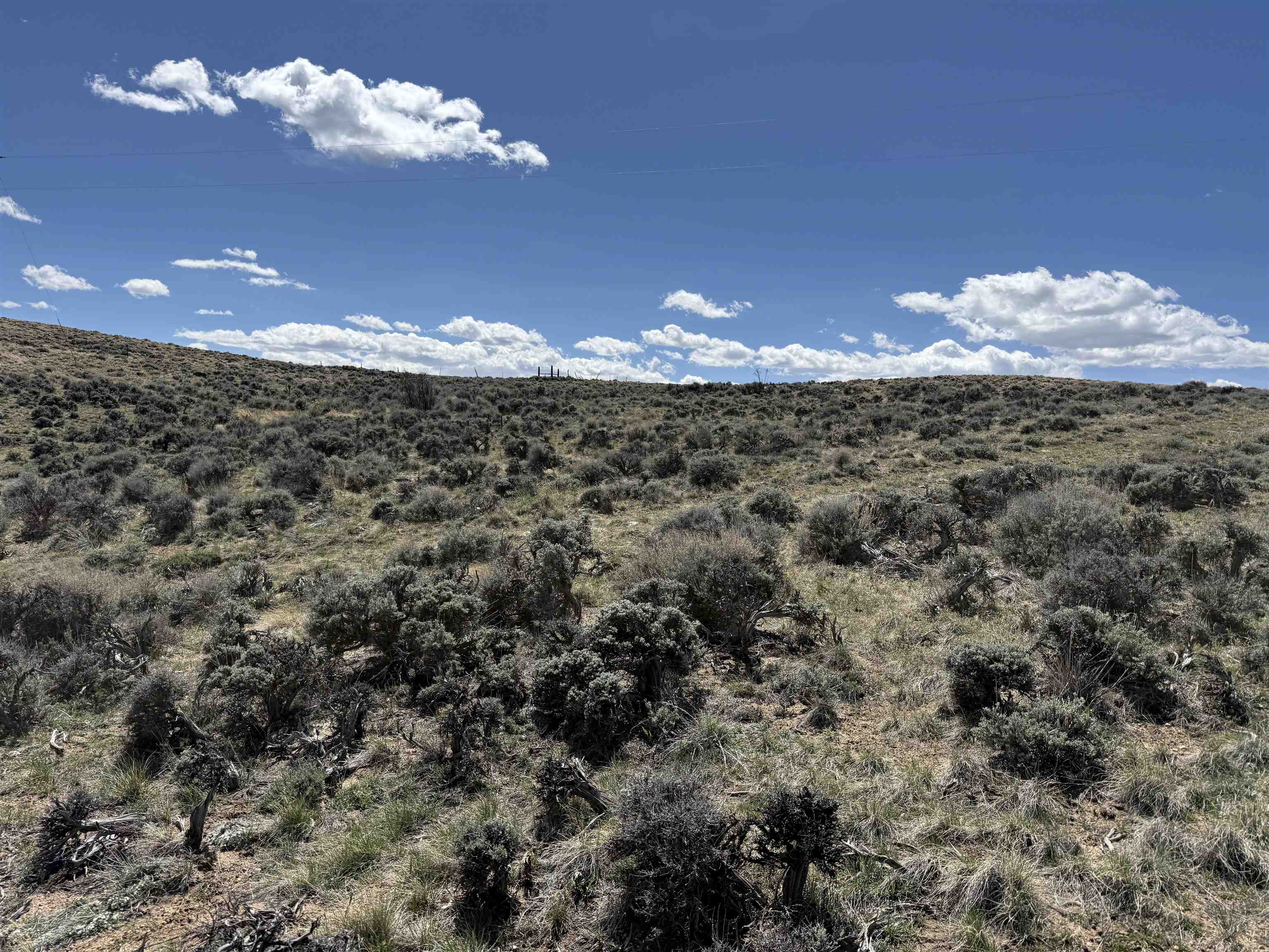 67 Block Encampment, WY 82325 - Photo 7 of 19
