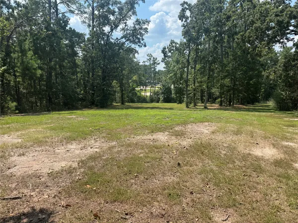 a view of a field with a trees in the background