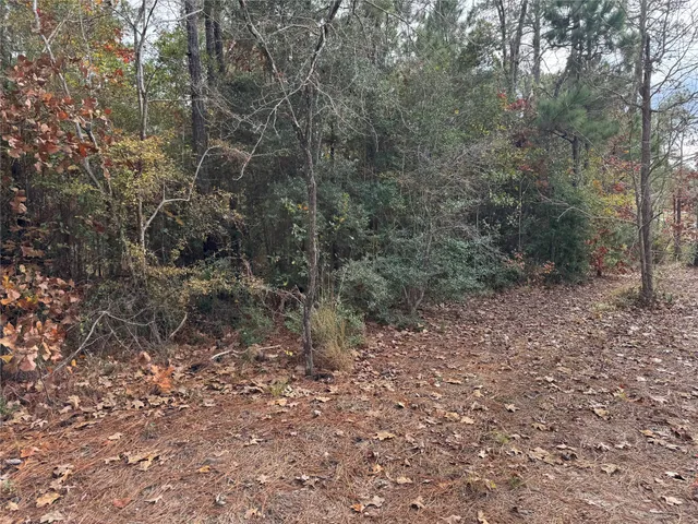 $59,000 | 2122 Post Oak Lane, Brookeland, TX 75931