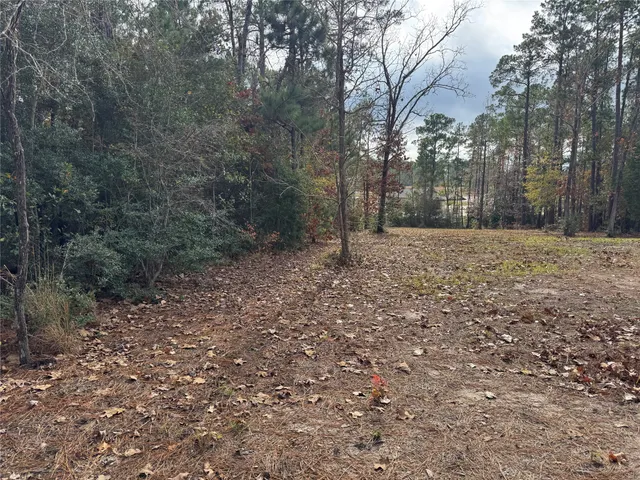 $59,000 | 2122 Post Oak Lane, Brookeland, TX 75931