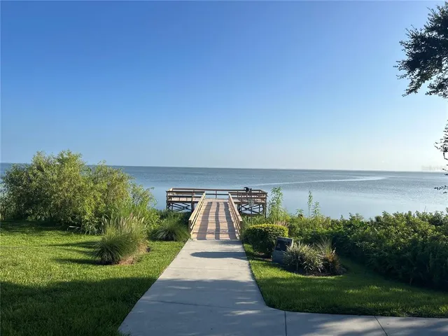 a view of a yard with a pathway