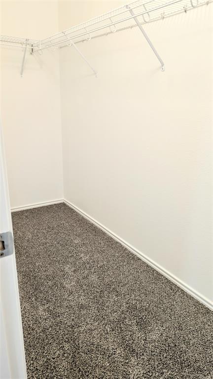 1308 Lamar Lane Allen, TX 75002 - Photo 28 of 40 Walk in closet featuring carpet floors