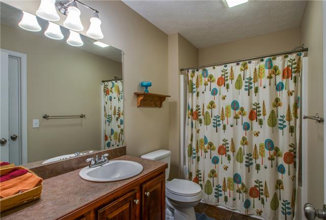 515 Berry Circle Springfield, TN 37172 - Photo 12 of 18 a bathroom with a granite countertop sink a toilet and shower curtain