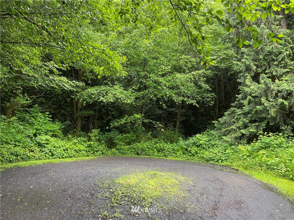 0 Campbell Road Longview, WA 98632 - Photo 1 of 1 Gallery Image 1
