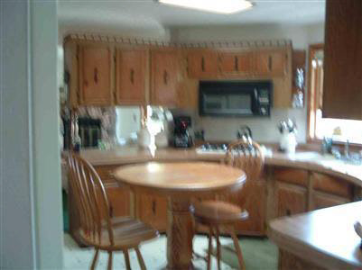 4590 Arbela Road Millington, MI 48746 - Photo 8 of 9 20214654-7.JPG