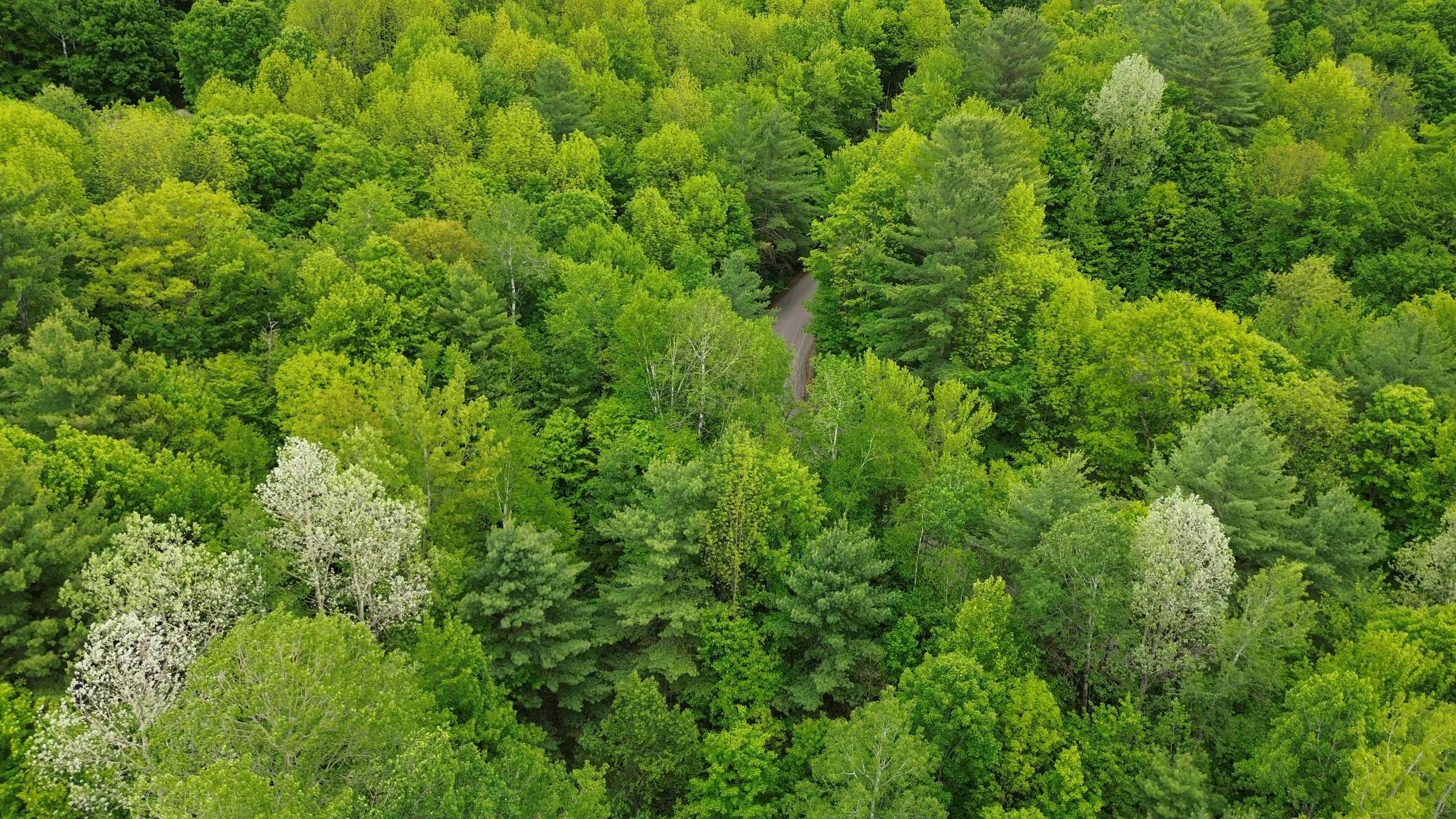 7 Sugarhill Road Underhill, VT 05489 - Photo 10 of 13