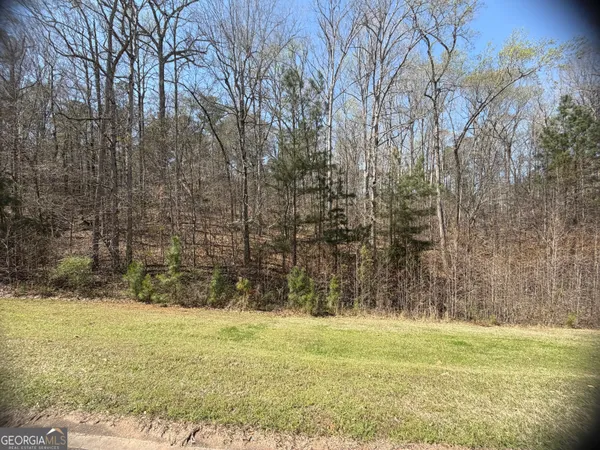 $50,000 | 506 Forest Pointe Drive, Forsyth, GA 31029