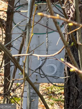 $50,000 | 506 Forest Pointe Drive, Forsyth, GA 31029