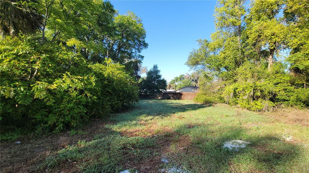 Property Location Island DeLand, FL 32724 - Photo 3 of 9 a view of a yard with trees