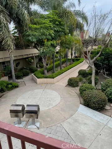a view of a backyard with plants