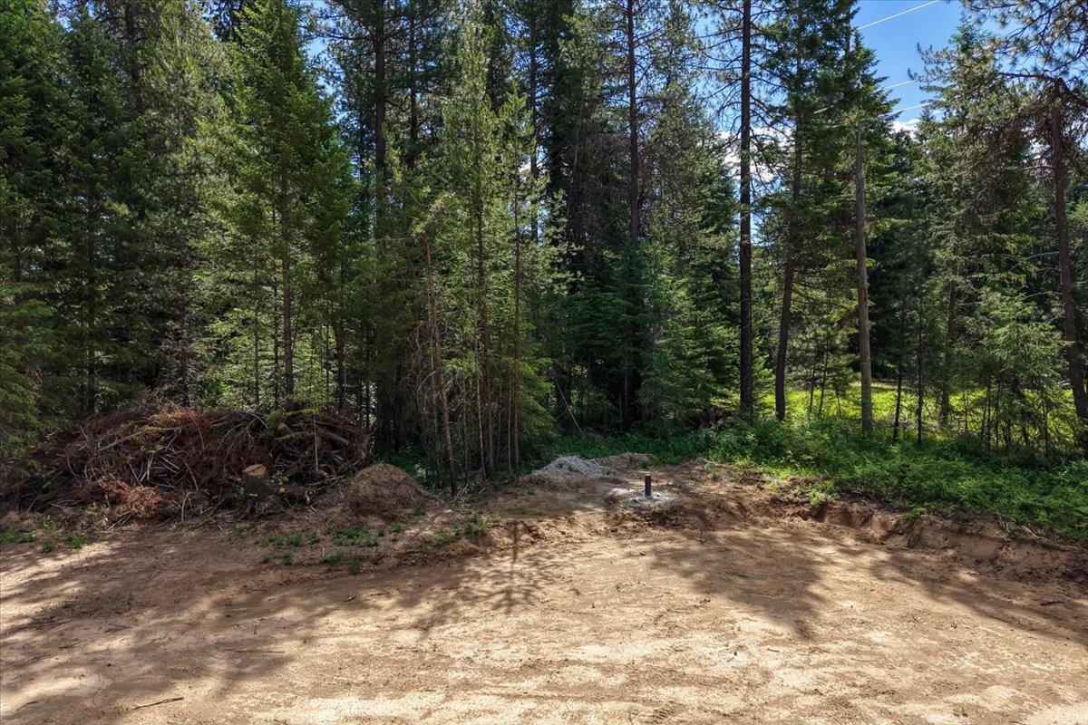 4631 Camden Road Newport, WA 99156 - Photo 8 of 24