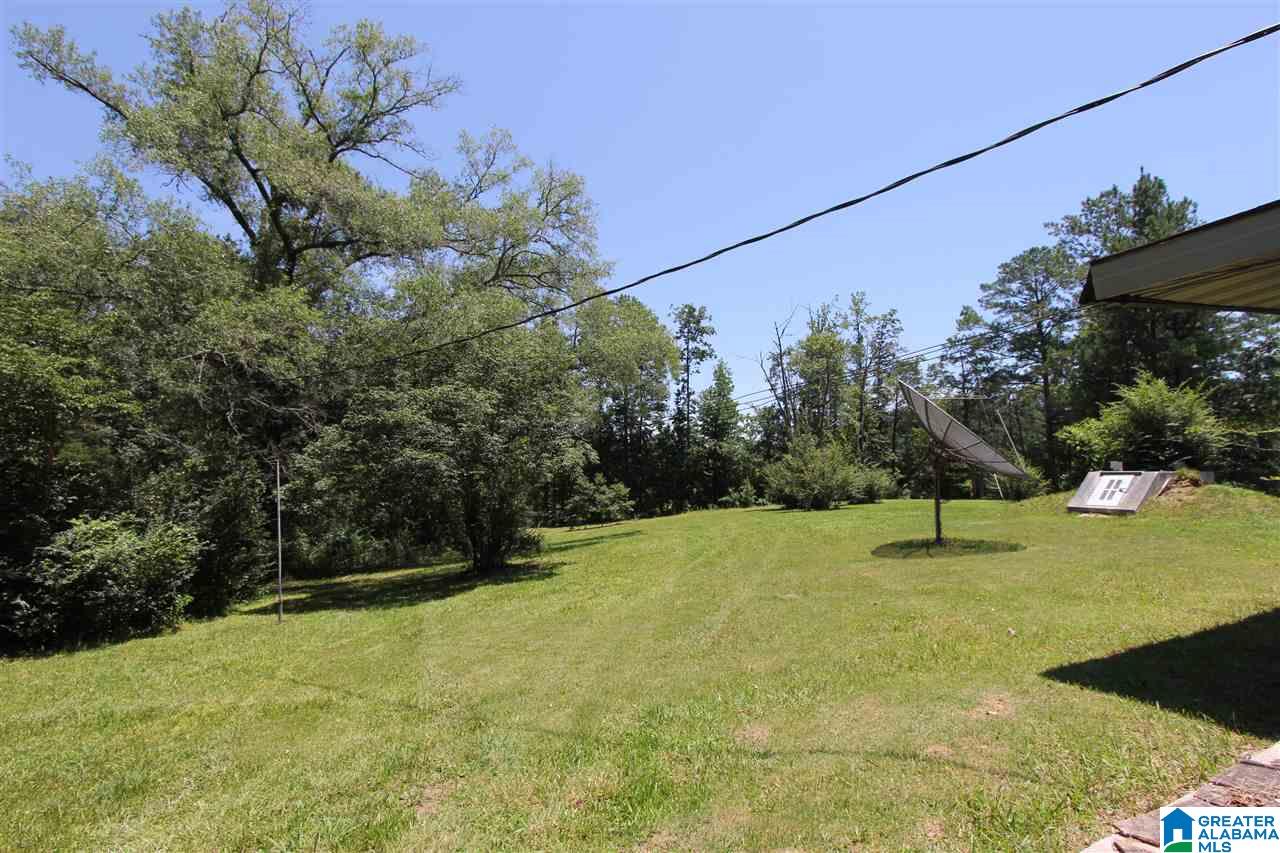 4363 Old Sulphur Springs Road Wellington, AL 36279 - Photo 23 of 37