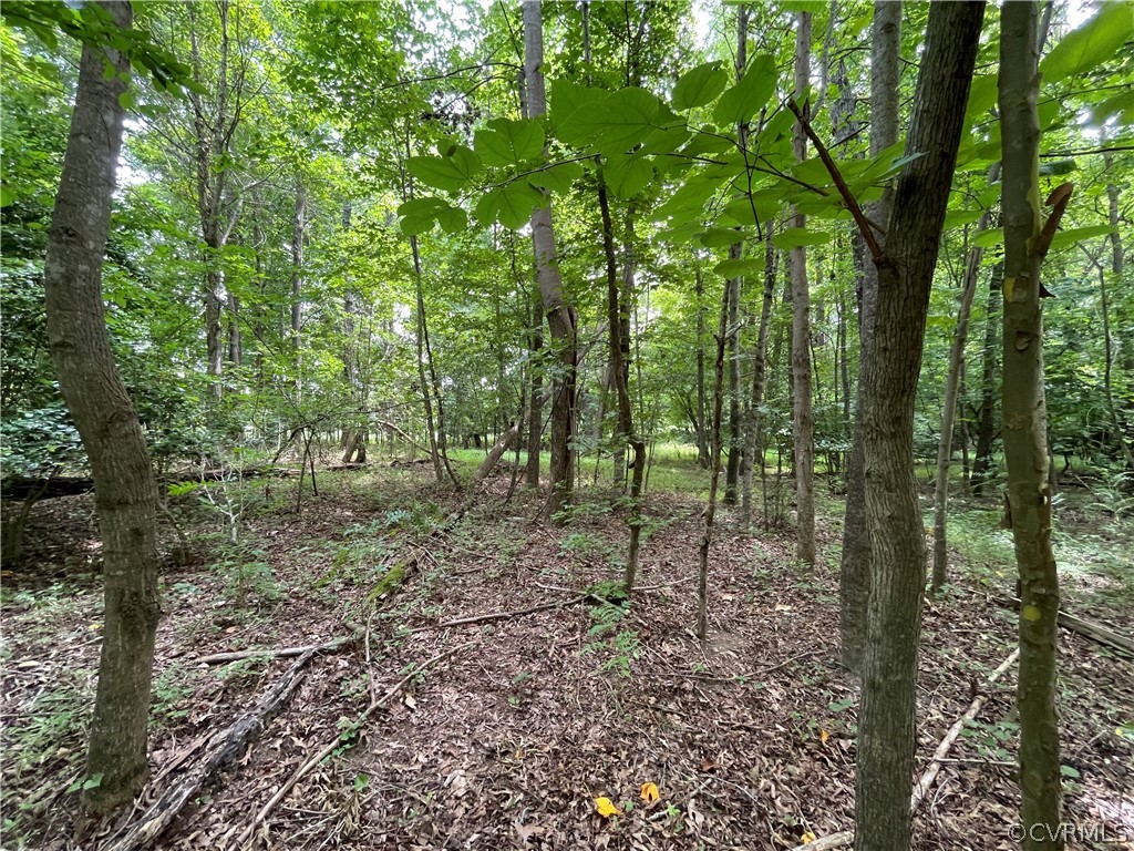 19.202 Acres (off Of) Cabin Point Rd Spring Grove Spring Grove, VA 23881 - Photo 11 of 30 Gallery Image 11