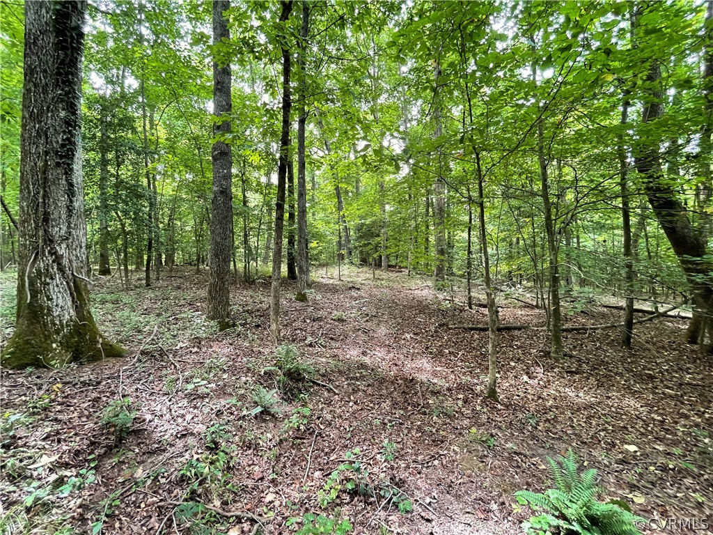 19.202 Acres (off Of) Cabin Point Rd Spring Grove Spring Grove, VA 23881 - Photo 17 of 30 Gallery Image 17